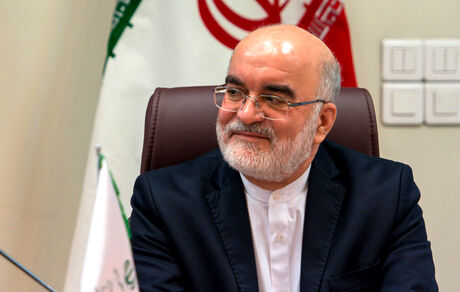  دبیر ستاد حقوق بشر جمهوری اسلامی منصوب شد