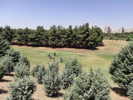 مسابقات گلف آزاد بانوان کشور در حال برگزاریست