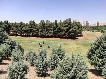 مسابقات گلف آزاد بانوان کشور در حال برگزاریست