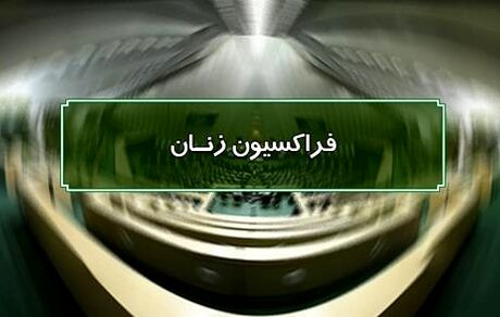فراکسیون زنان مجلس در مورد ماجرای زیرگرفتن دو زن در ارومیه به اژه‌ای نامه نوشت