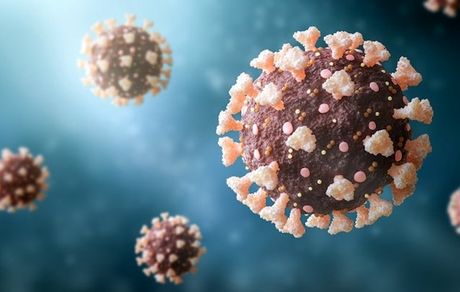 شناسایی بیمارانی با ابتلای همزمان به دو سویه ویروس کرونا