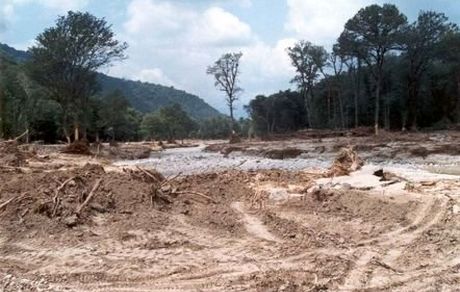 ایجاد پنجره واحد زمین برای رفع زمین خواری و تصرف اراضی ملی