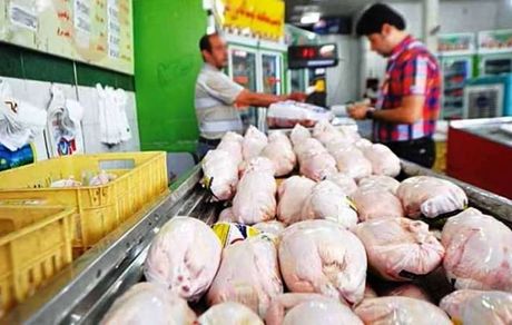 
علت افزایش قیمت مرغ اعلام شد/ توزیع مرغ دولتی از هفته آینده
