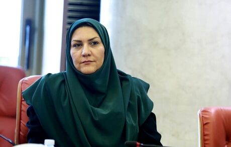 ارز ترجیحی گوشت قرمز حذف نشد