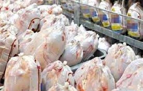 تکذیب صدور مجوز  برای واردات مرغ از بلاروس