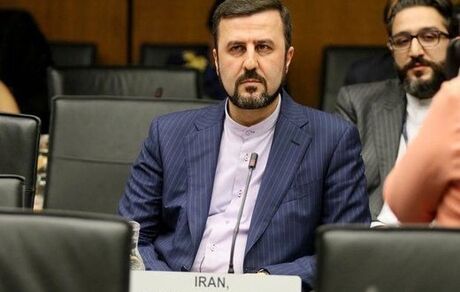 غریب آبادی: هشدار «مواد خطرناک» را همراه یک بازرس آژانس دریافت کردیم