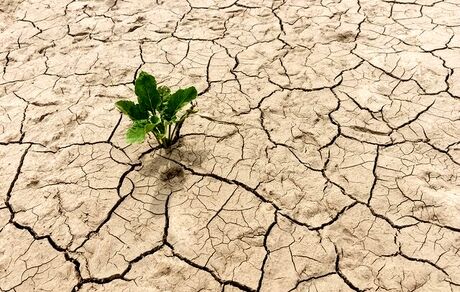 یک سوم استان خراسان جنوبی درگیر بیابان‌زایی است