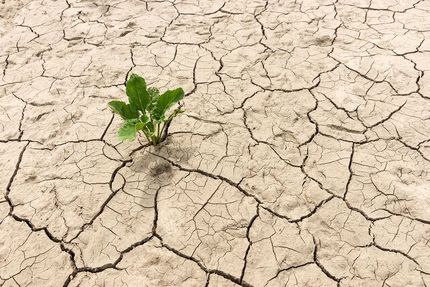 یک سوم استان خراسان جنوبی درگیر بیابان‌زایی است