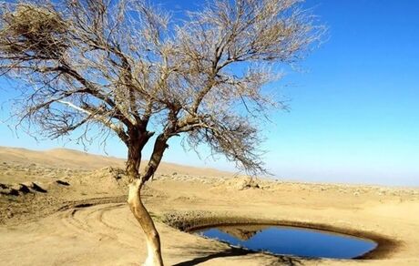 تعیین نرخ‌نامه جدید وزارت نیرو: تعرفه آب زیرزمینی ارزان‌تر از آب سطحی