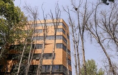 دادستان تهران: با عامل خشک شدن درختان خیابان ولیعصر برخورد قاطع می‌شود