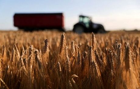 جنگ اوکراین نهاده‌های کشاورزی را ۱۰ درصد گران کرد