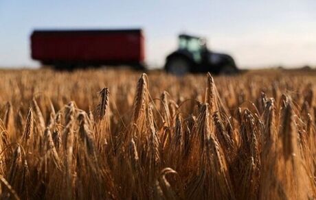 جنگ اوکراین نهاده‌های کشاورزی را ۱۰ درصد گران کرد