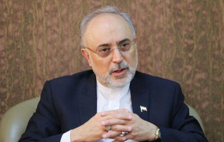 صالحی: در هر ساعت ۱۷ تا ۲۰ گرم غنی‌سازی ۲۰ درصدی انجام می‌شود