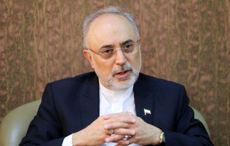 صالحی: در هر ساعت ۱۷ تا ۲۰ گرم غنی‌سازی ۲۰ درصدی انجام می‌شود