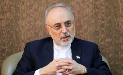 صالحی: در هر ساعت ۱۷ تا ۲۰ گرم غنی‌سازی ۲۰ درصدی انجام می‌شود