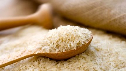 واردات برنج خارجی از سر گرفته شد
