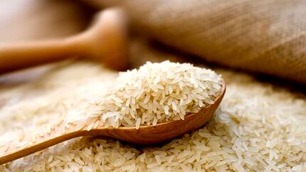 واردات برنج خارجی از سر گرفته شد