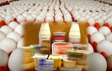 عوارض صادراتی مرغ، تخم‌مرغ، شیرخشک، خامه و چربی برداشته شد