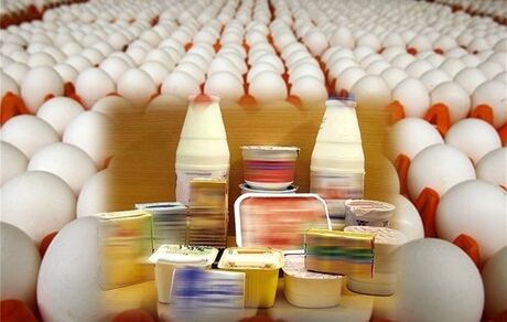 عوارض صادراتی مرغ، تخم‌مرغ، شیرخشک، خامه و چربی برداشته شد