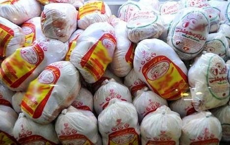 توزیع روزانه ۸ هزارتن مرغ در سطح کشور