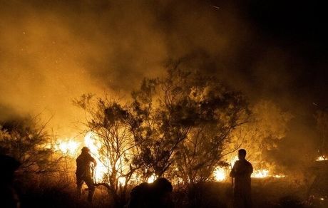آتش‌سوزی در جنگل ها و مراتع قلعه سفید مهار شد