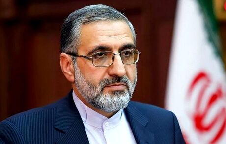 سخنگوی قوه قضاییه: ماهیت انقلاب اسلامی فسادستیزی است