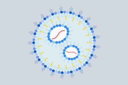 درمان حساسیت به بادام زمینی با روش mRNA
