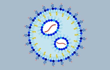 درمان حساسیت به بادام زمینی با روش mRNA