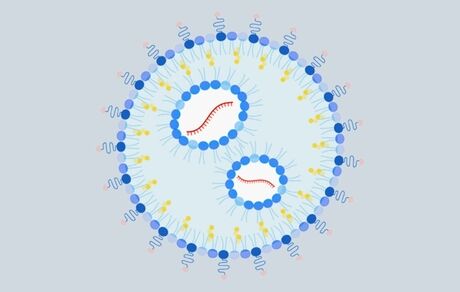 درمان حساسیت به بادام زمینی با روش mRNA
