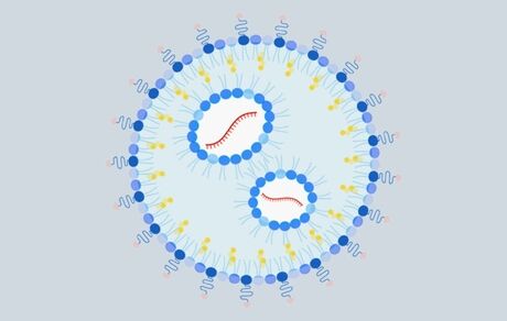درمان حساسیت به بادام زمینی با روش mRNA