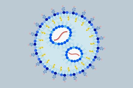 درمان حساسیت به بادام زمینی با روش mRNA