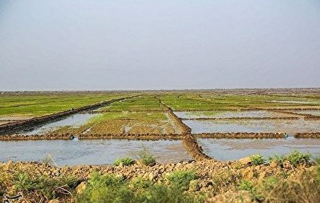 گورستانی تاریخی در ساوجبلاغ کشف شد