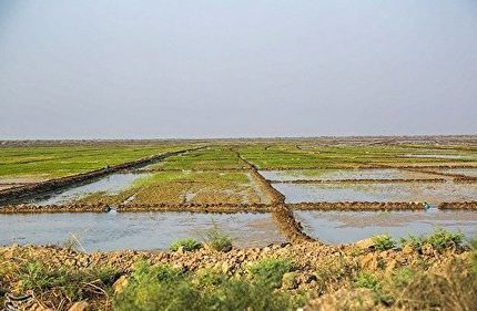 گورستانی تاریخی در ساوجبلاغ کشف شد