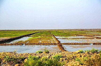 گورستانی تاریخی در ساوجبلاغ کشف شد
