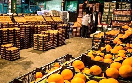 ذخیره‌سازی ۴۴۰ تن سیب و پرتقال شب عیدی در استان قزوین