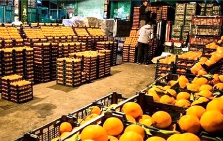 ذخیره‌سازی ۴۴۰ تن سیب و پرتقال شب عیدی در استان قزوین