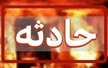 دختر۱۴ساله:آن مرد به من گفت همسر باردارش وسط بلوار افتاده و درخواست کمک کرد/ برای کمک همراهش رفتم ام میان درختان بلوار به من تجاوز کرد