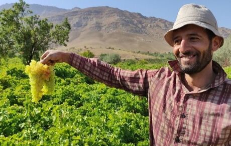 استان چهارمحال و بختیاری میزبان جشنواره انگور