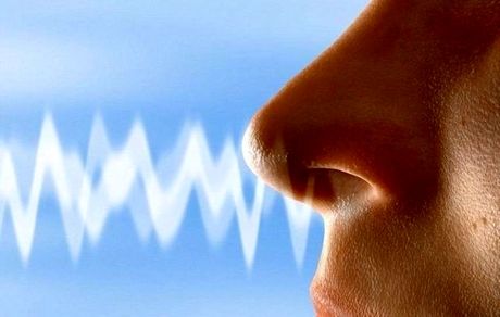 حس بویایی و ارتباط آن در سلامت افراد