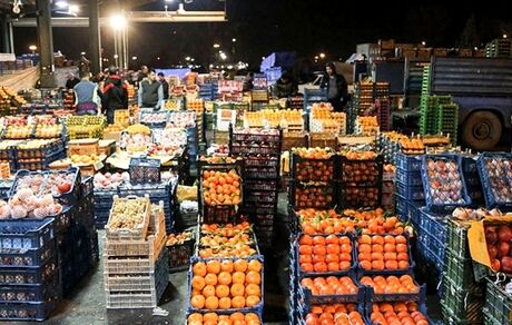 رئیس اتحادیه بارفروشان: میوه تا پایان هفته ارزان می‌شود/ قیمت هر کیلو موز ۲۳ هزار تومان