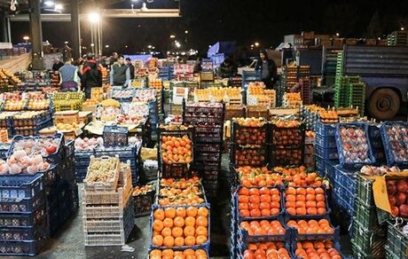  رئیس اتحادیه بارفروشان: میوه تا پایان هفته ارزان می‌شود/ قیمت هر کیلو موز ۲۳ هزار تومان