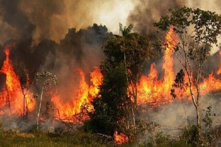 آتش‌سوزی جنگل‌های مریوان همچنان ادامه دارد