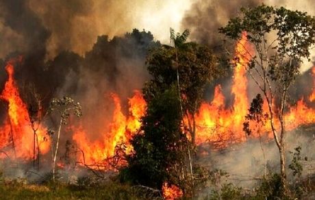 آتش‌سوزی جنگل‌های مریوان همچنان ادامه دارد