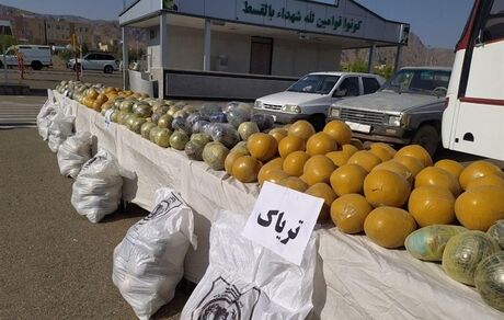 کشف بیش از ۱۰۵ تُن انواع مواد مخدر در کشور از ابتدای سال جاری
