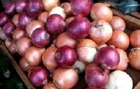 برگزاری دومین جشنواره گردشگری پیاز لاسجرد