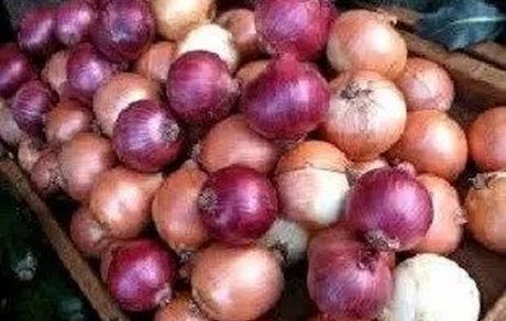 برگزاری دومین جشنواره گردشگری پیاز لاسجرد