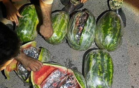 کشف محموله هندوانه با طعم حشیش
