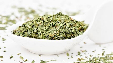 آزمایش چای آرتمیزیا به‌عنوان داروی مالاریا روی بیماران مبتلا به کووید۱۹