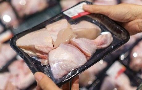 راه حل عجیب دولت ترکیه برای کاهش قیمت مرغ