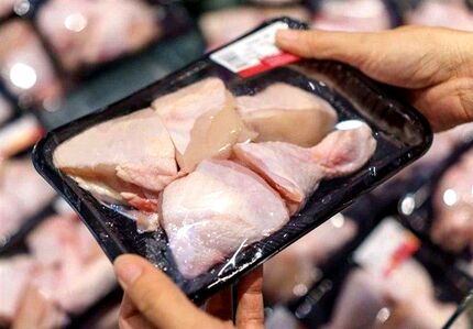 راه حل عجیب دولت ترکیه برای کاهش قیمت مرغ